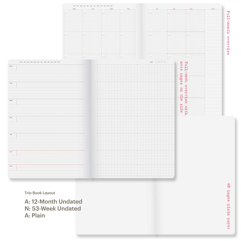ana tomy x  Lilin+Co planner notebook page layout
