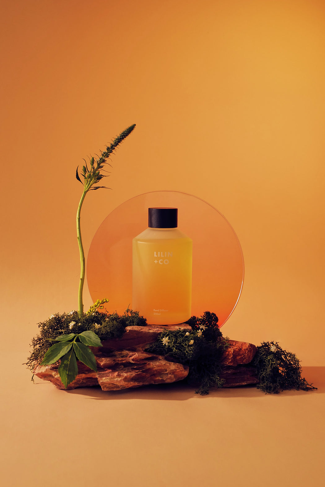 Reed Diffuser Lilin+Co