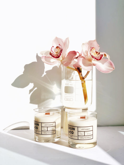 wild frangipani soy candle