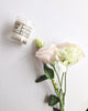 strawberries and champagne soy candle